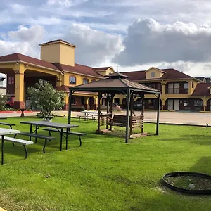 Raintree And Motel